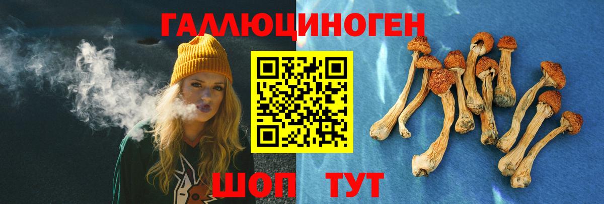 Галлюциногенные грибы MAGIC MUSHROOMS  Галлюциногенные грибы GOLDEN TEACHER  Вход с VPN  Хабаровск 